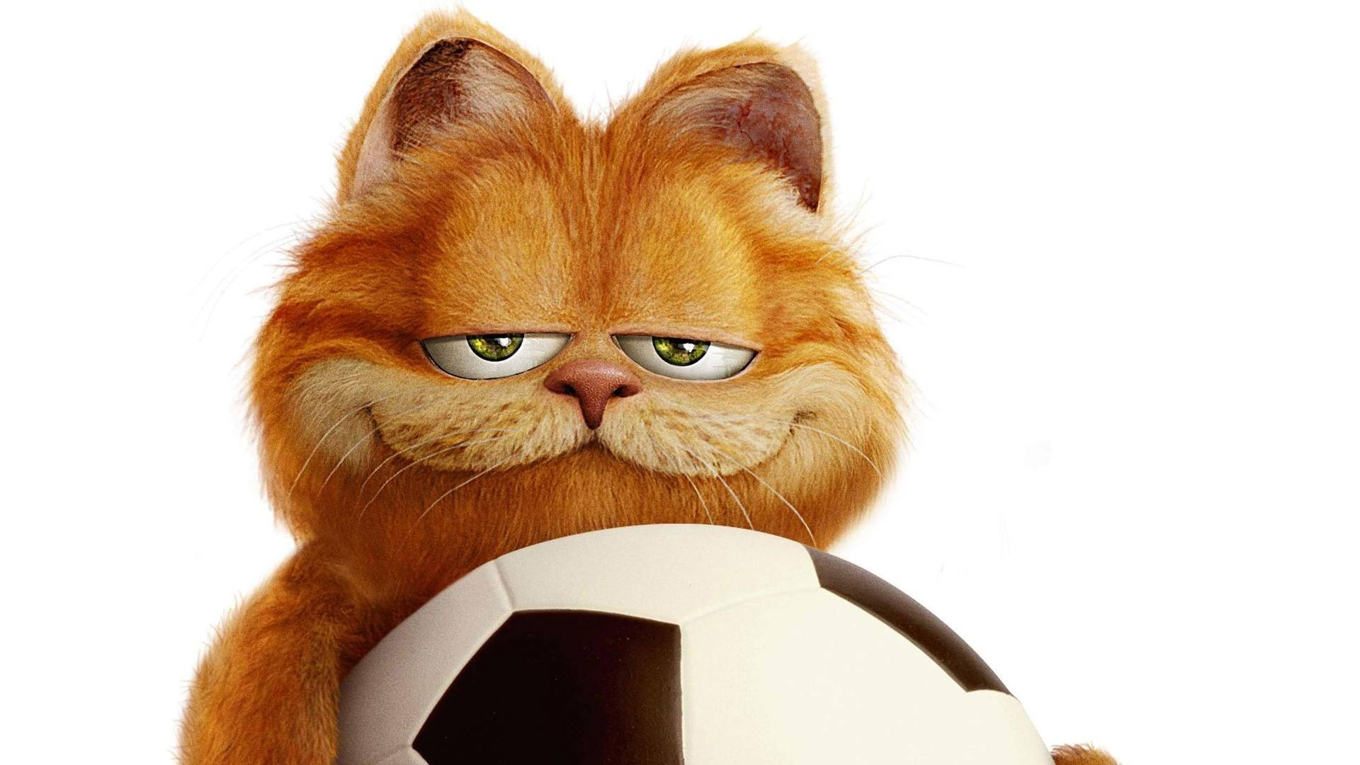 Garfield, orange tabby cat, soccer ball, Full HD Desktop Wallpaper