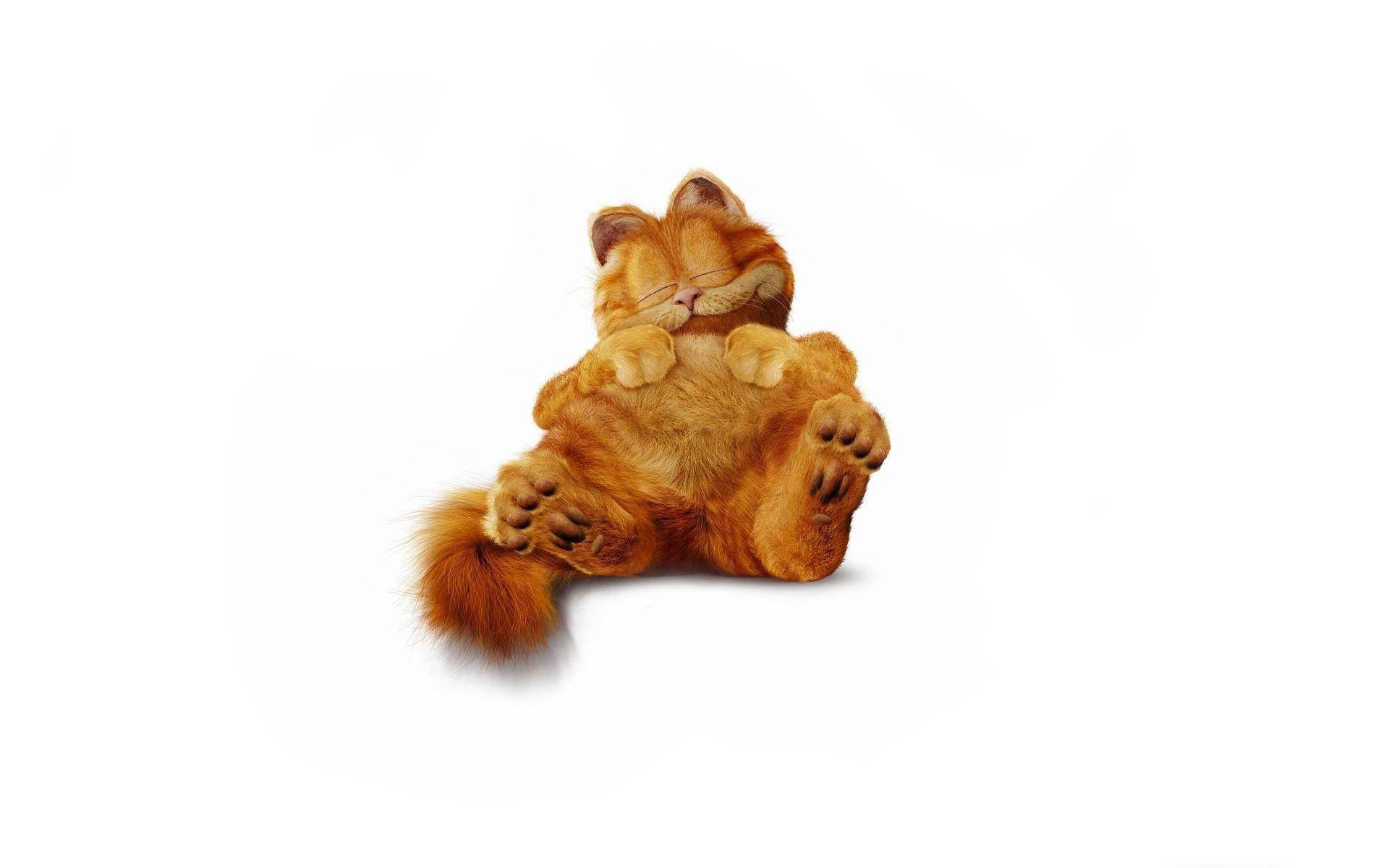 Garfield, fluffy orange tabby cat, sleeps peacefully, Full HD Desktop Wallpaper