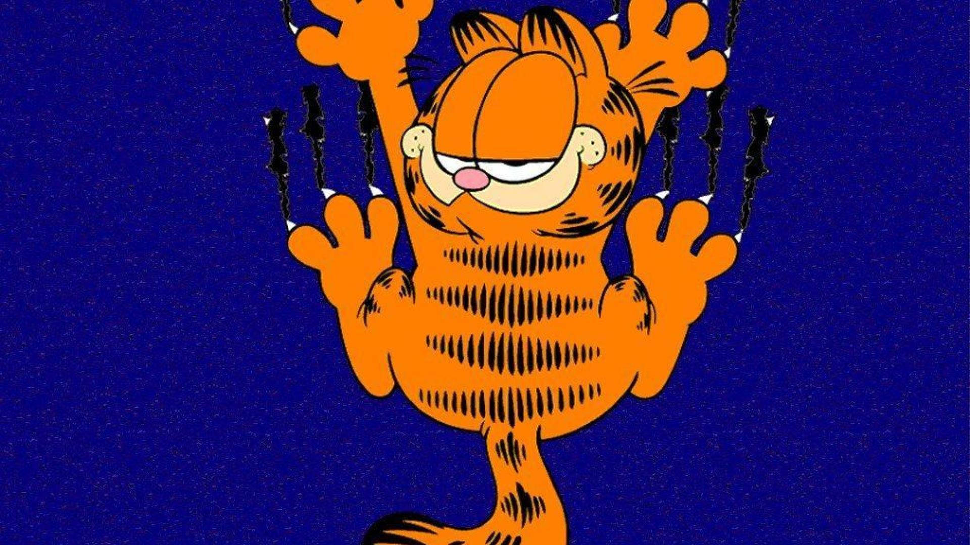 Garfield, orange cat, chains, Full HD Desktop Wallpaper