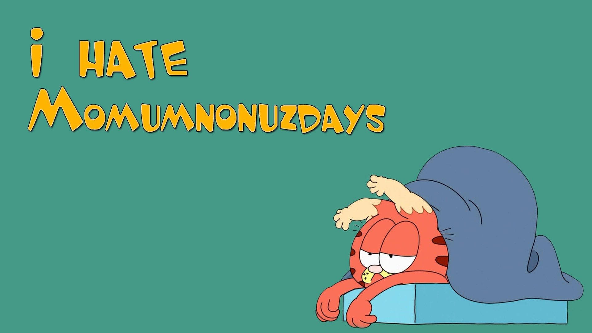 Garfield, orange cat, blue blanket, Full HD Desktop Wallpaper