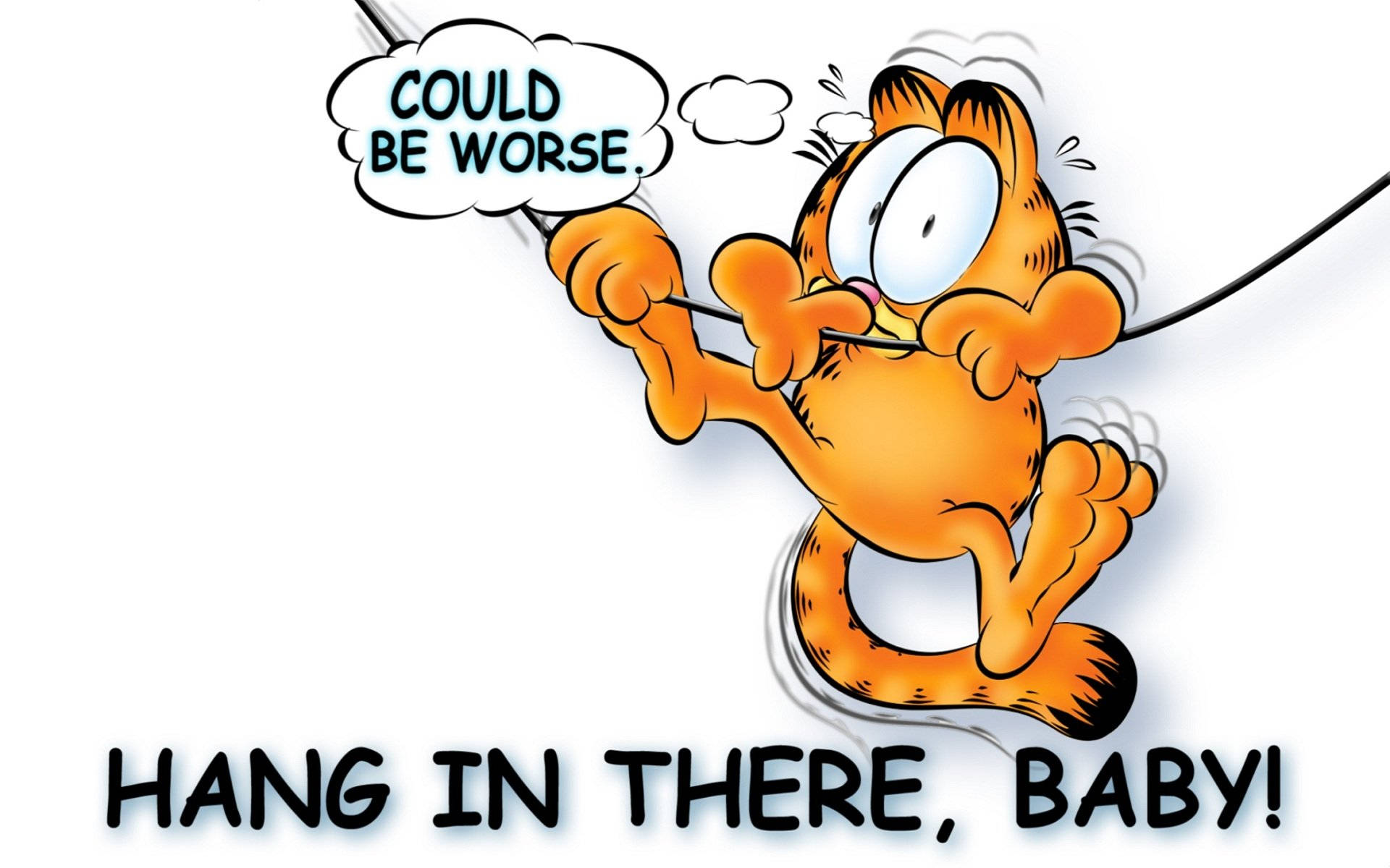 Garfield, orange cat, rope, Full HD Desktop Wallpaper