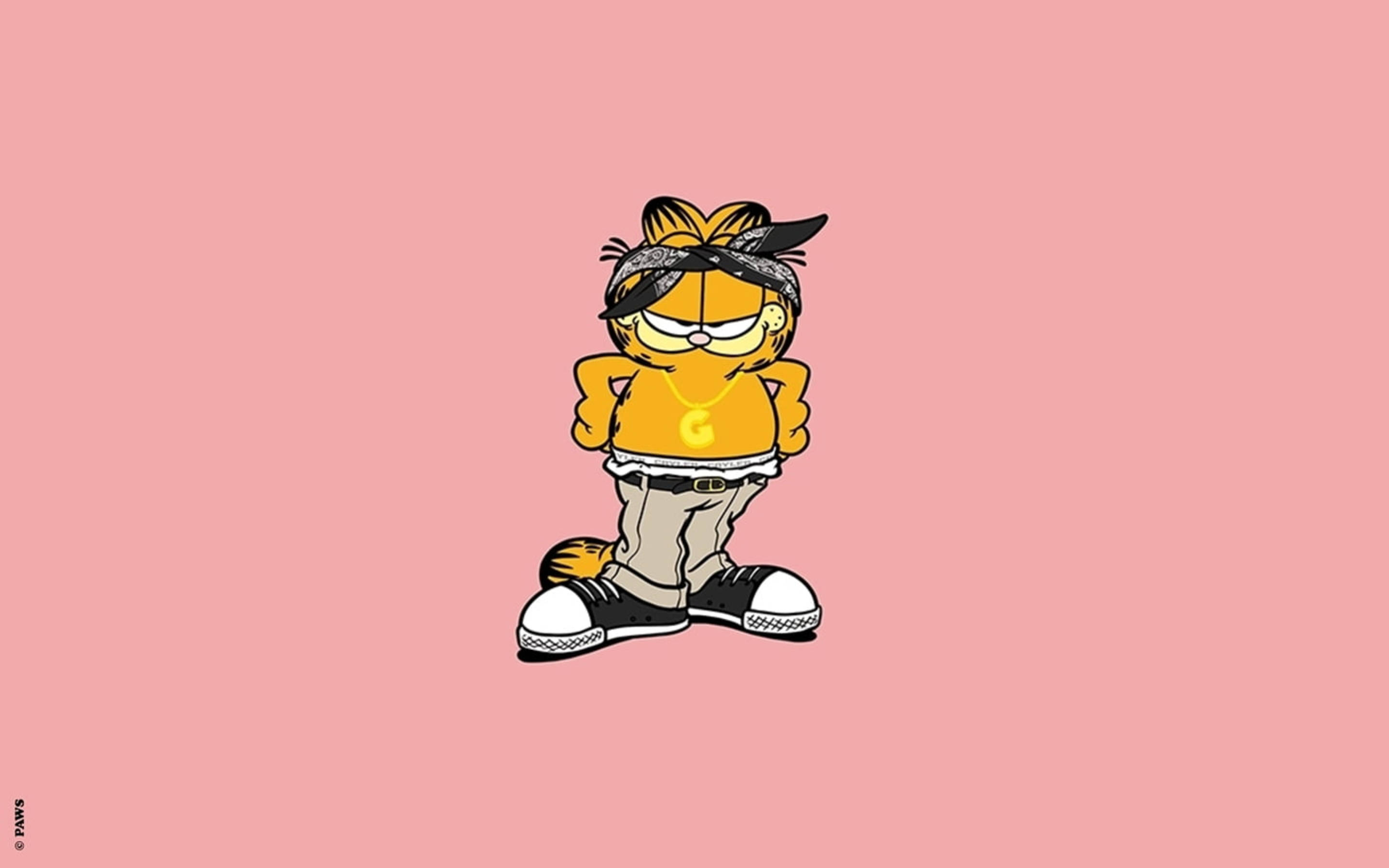 Garfield, bandana, gold chain, 2K Desktop Wallpaper