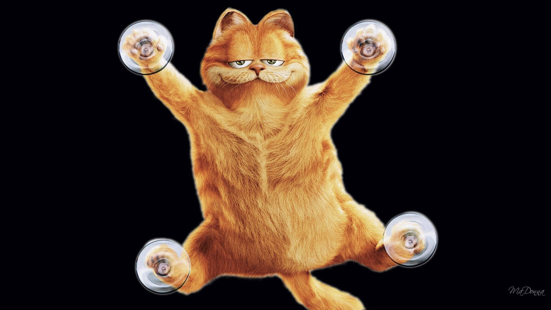 Garfield, orange tabby cat, suction cups, Full HD Desktop Wallpaper