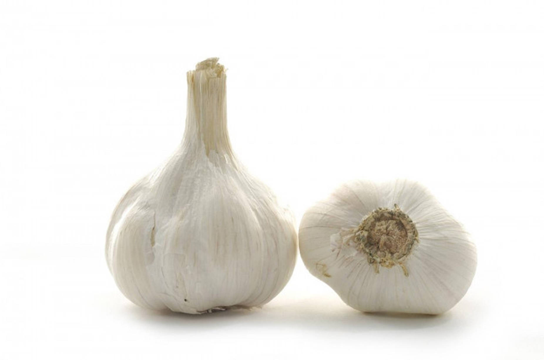 garlic, whole garlic bulbs, cut in half, HD Desktop Wallpaper