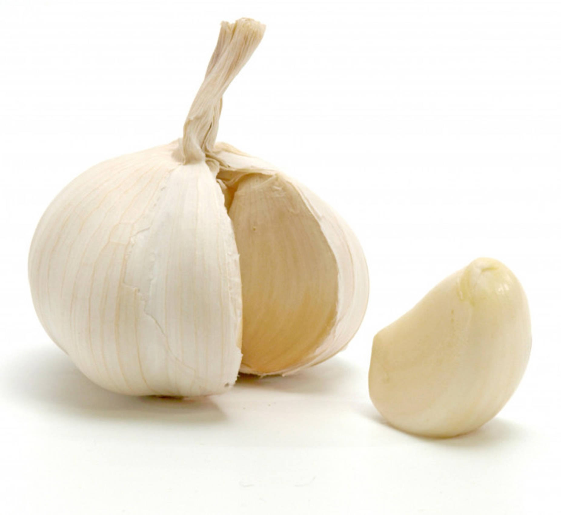garlic, clove, papery skin, HD Desktop Wallpaper