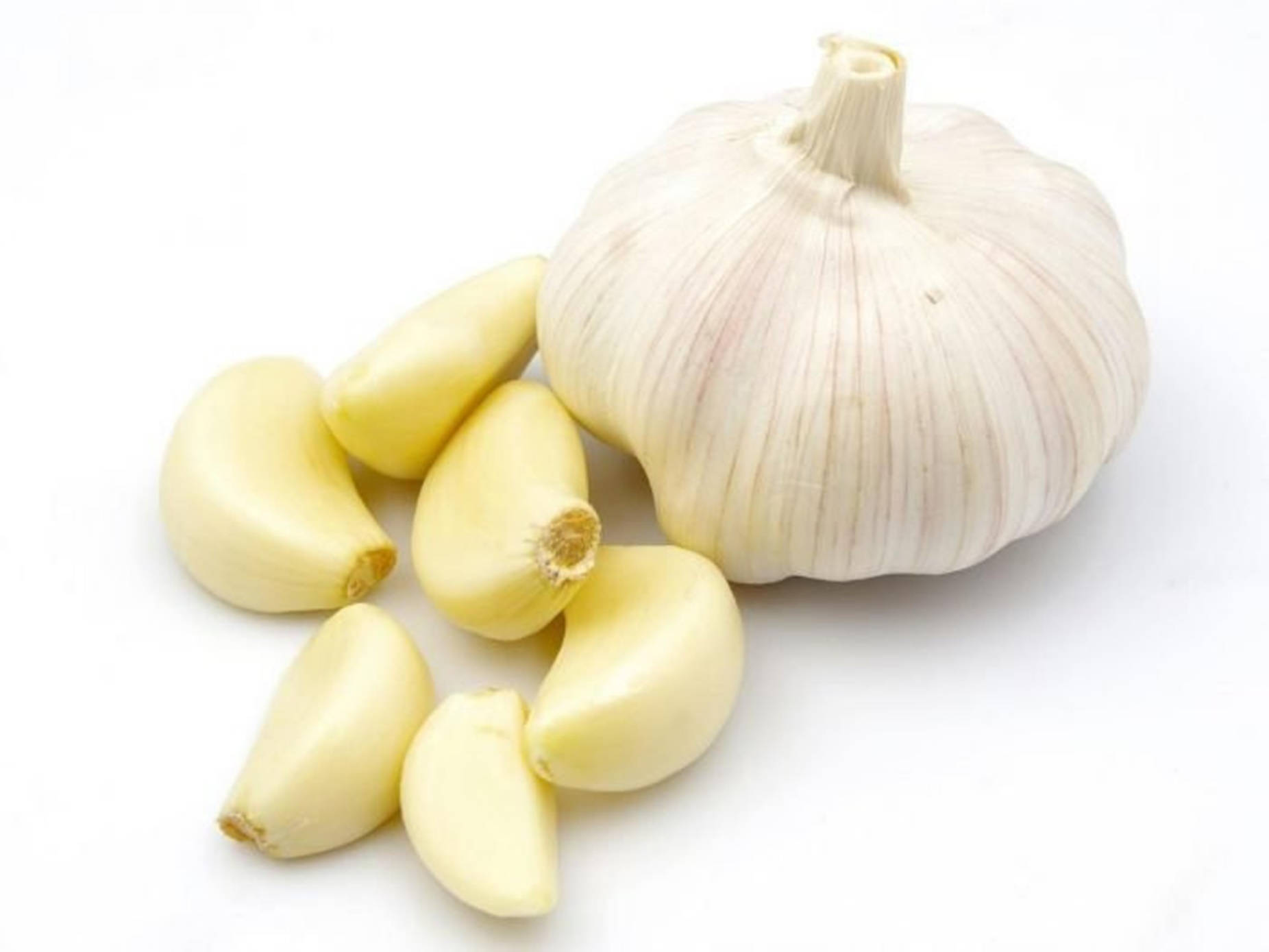 garlic bulb, peeled cloves, clean white surface, HD Desktop Wallpaper