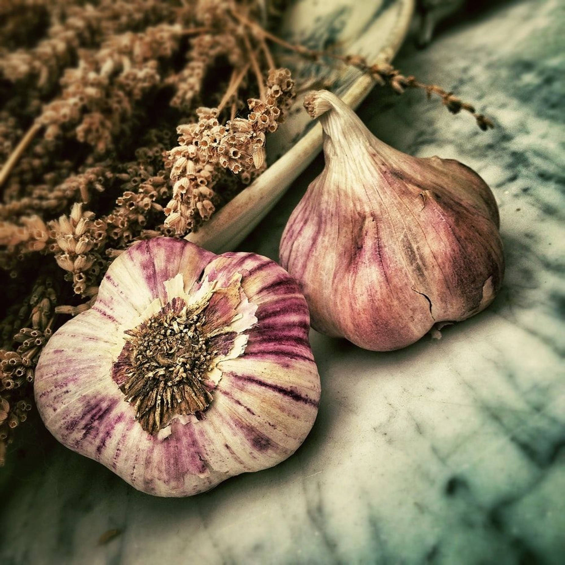 garlic, purple-striped garlic bulbs, dried lavender, HD Desktop Wallpaper