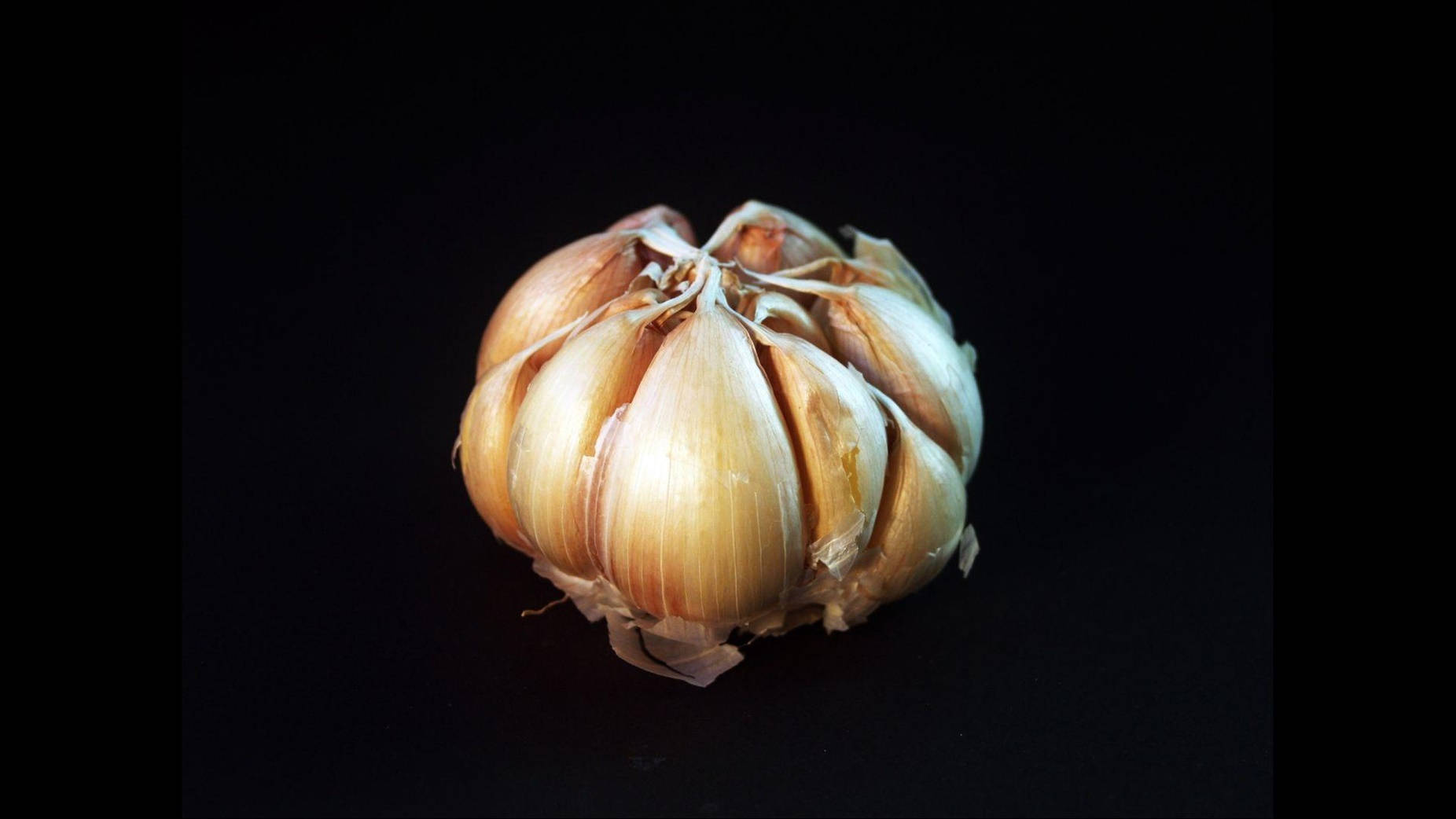 garlic cloves, papery golden skin, dark background, HD Desktop Wallpaper