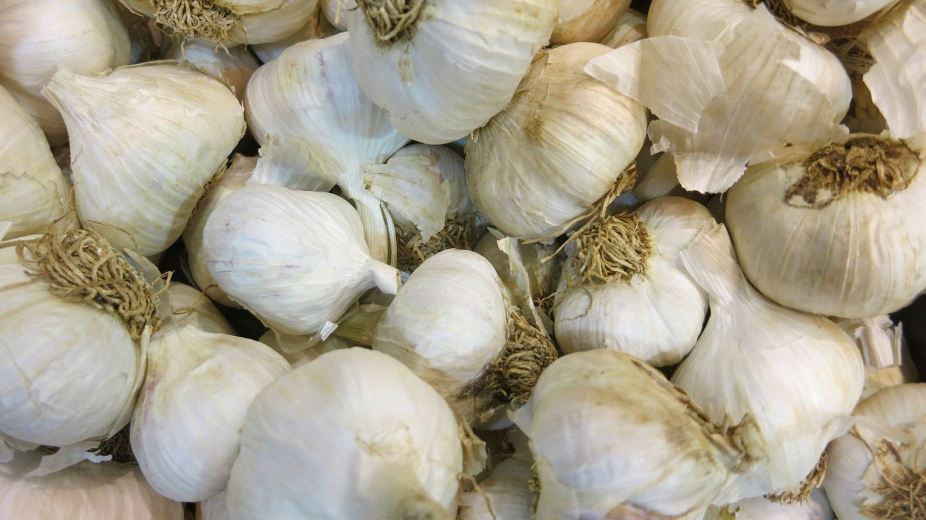 garlic, white garlic bulbs, papery skins, HD Desktop Wallpaper