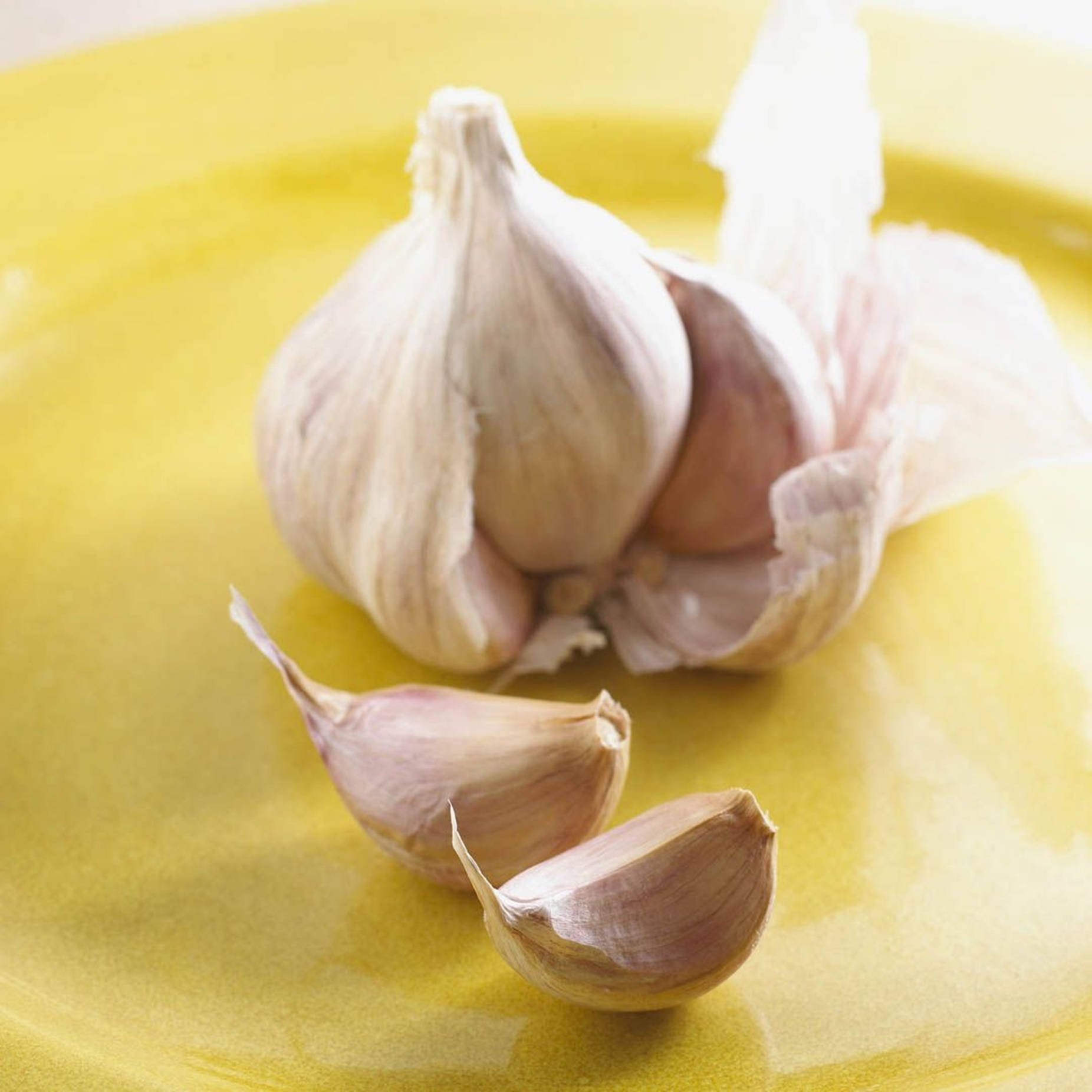 peeled garlic, vegetable herb, yellow plate, HD Desktop Wallpaper