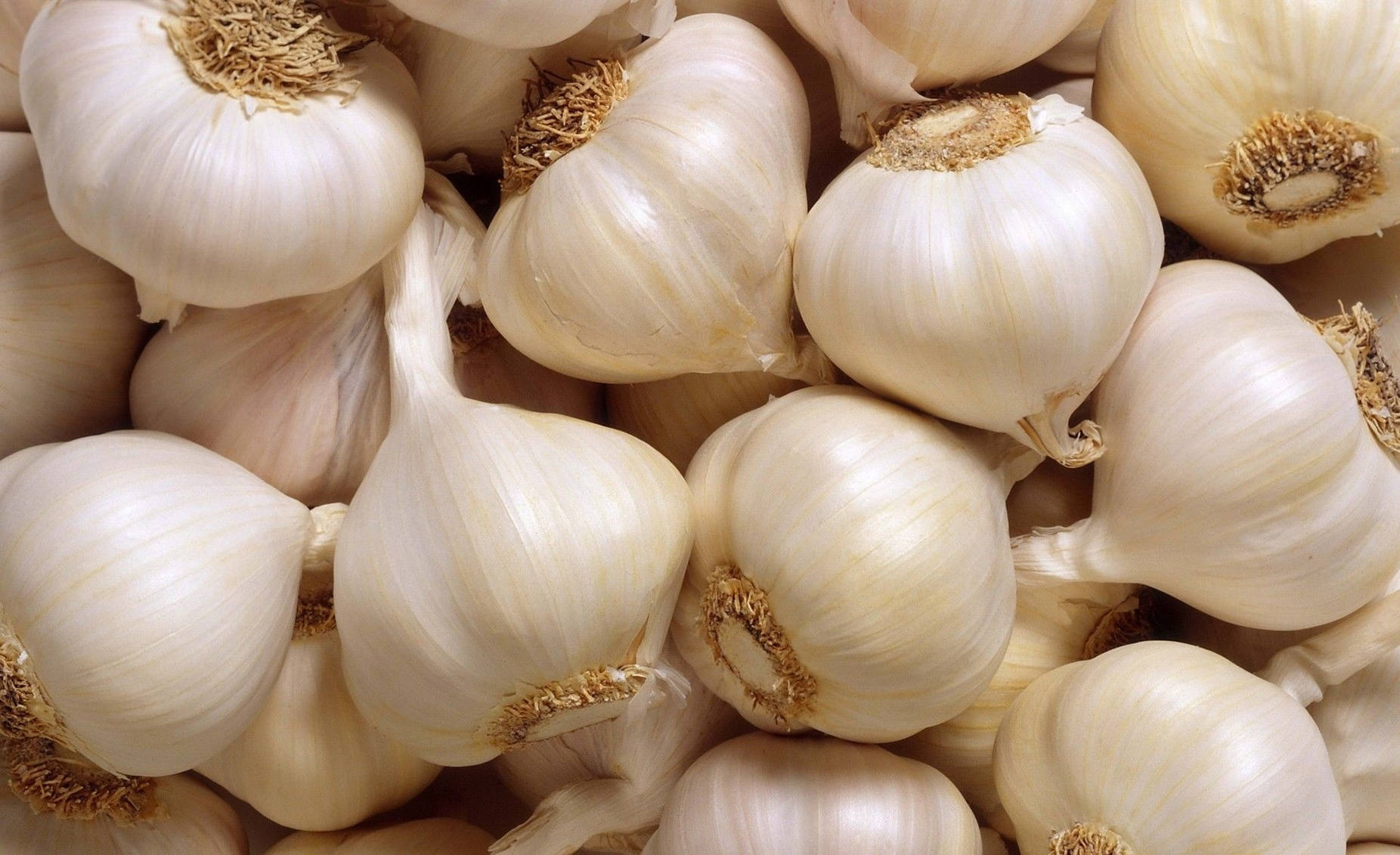 garlic, papery white skins, dried brown stems, HD Desktop Wallpaper