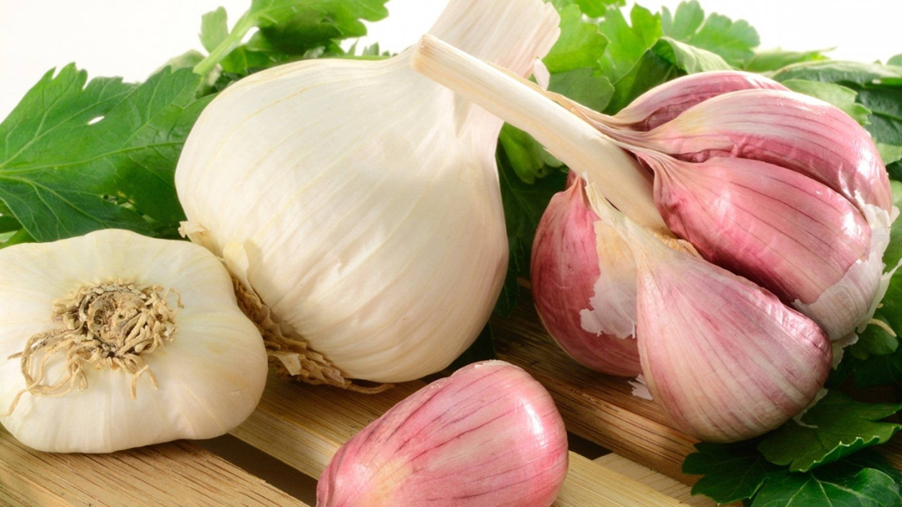 white and purple garlic, fresh garlic bulbs, vibrant green parsley leaves, HD Desktop Wallpaper
