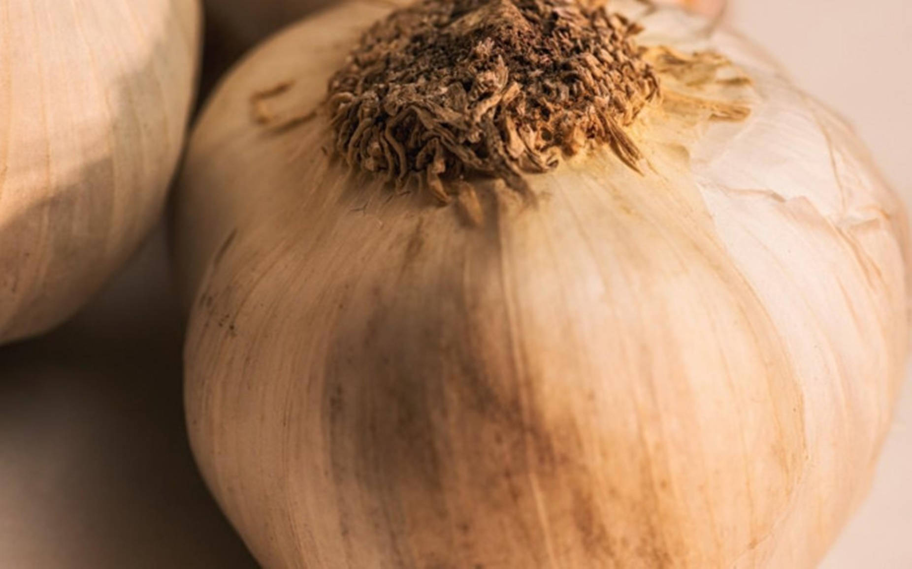 garlic bulb, papery skin, dried stem, HD Desktop Wallpaper