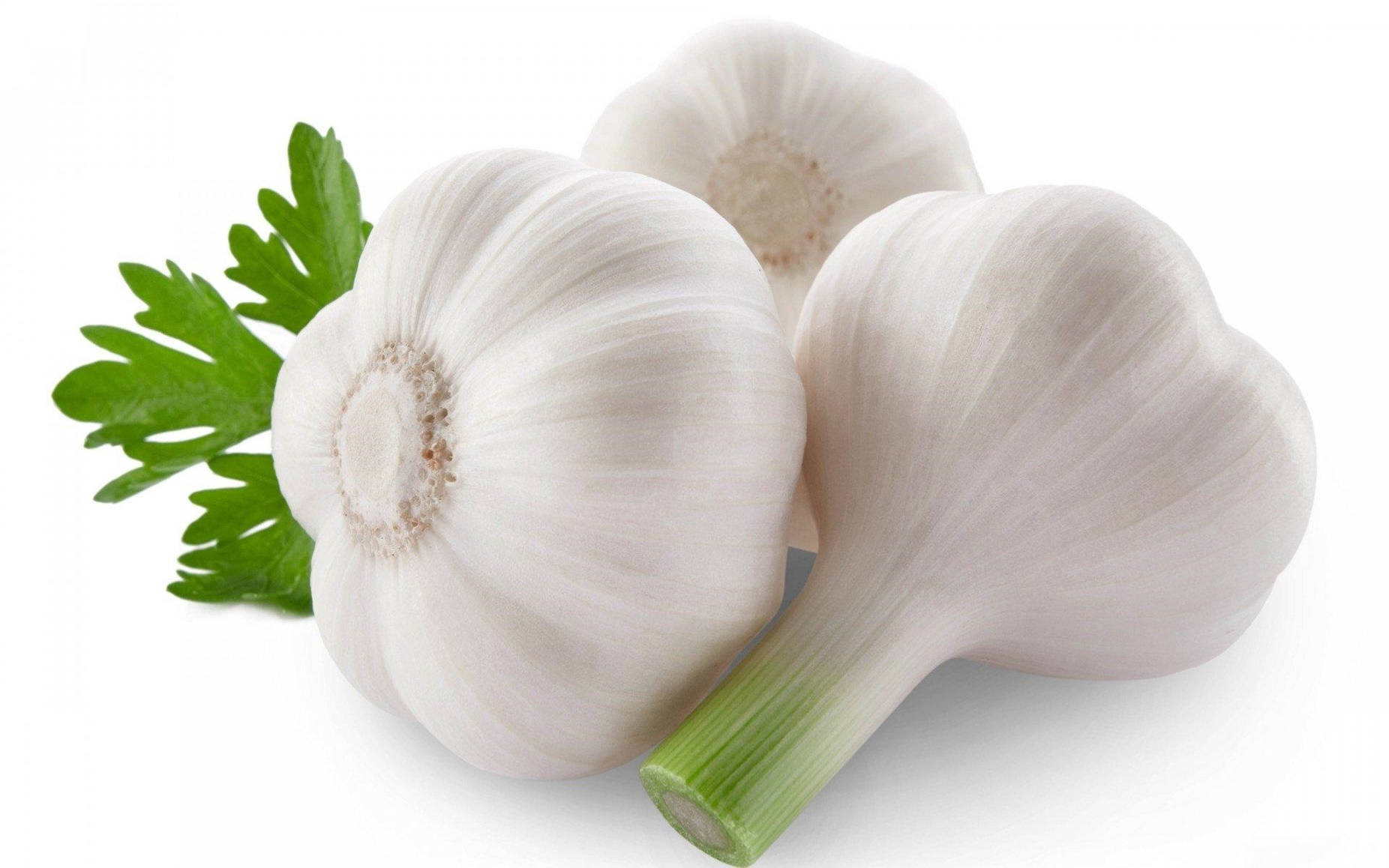 white garlic, parsley, green stems, HD Desktop Wallpaper