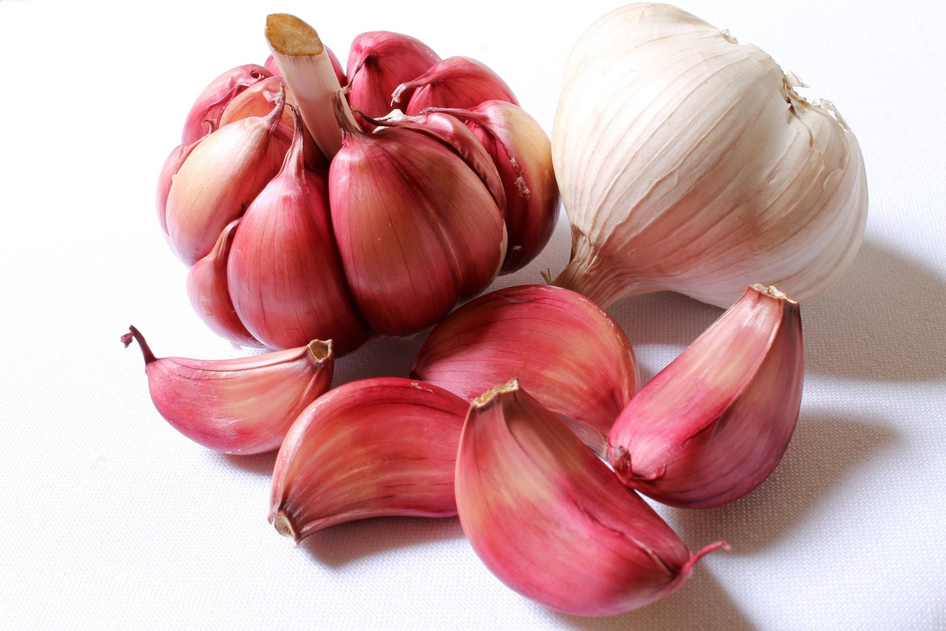 white garlic, red garlic, bulbs, HD Desktop Wallpaper