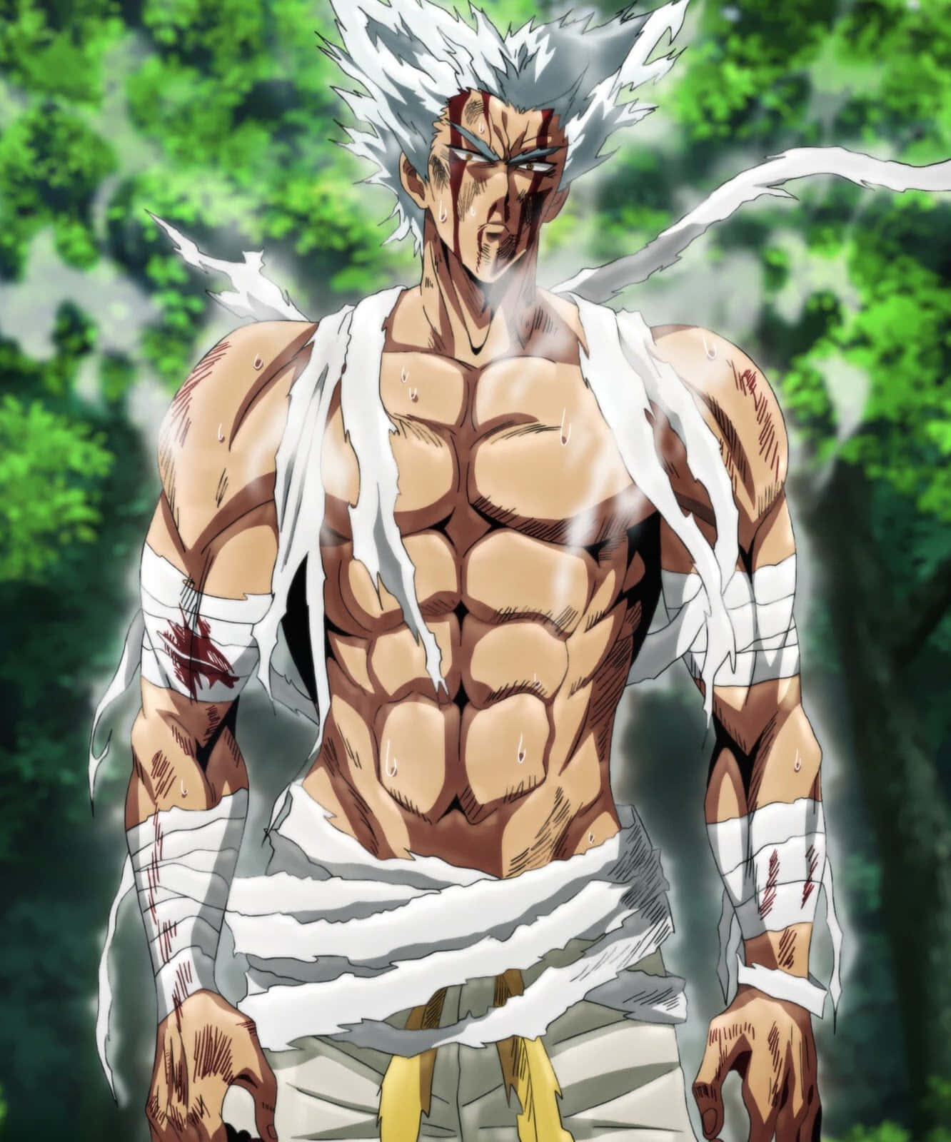Garou, spiky white hair, torn white clothing, HD Phone Wallpaper