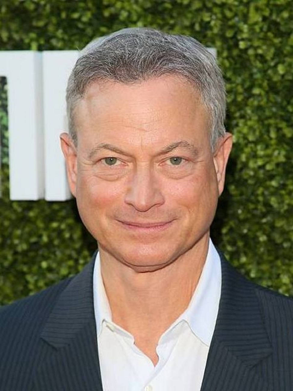 Gary Sinise, dark pinstripe suit, white shirt, HD Phone Wallpaper