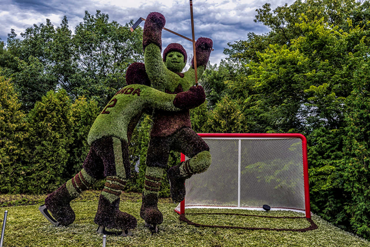 Gatineau, hockey player topiary, green and maroon gear, HD Desktop Wallpaper