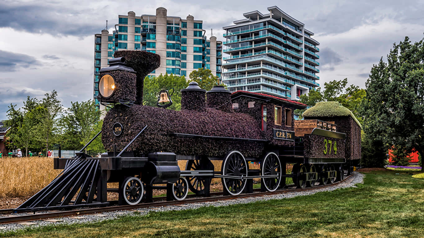 Gatineau, floral train display, topiary train sculpture, HD Desktop Wallpaper