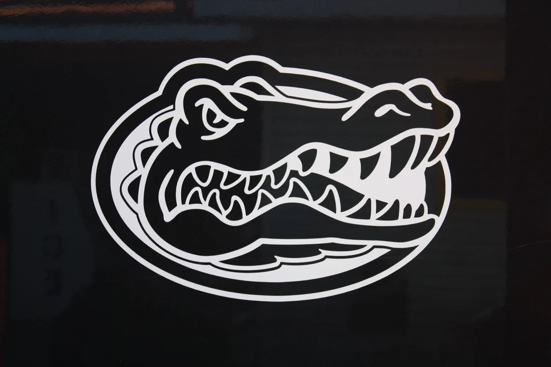 Gators