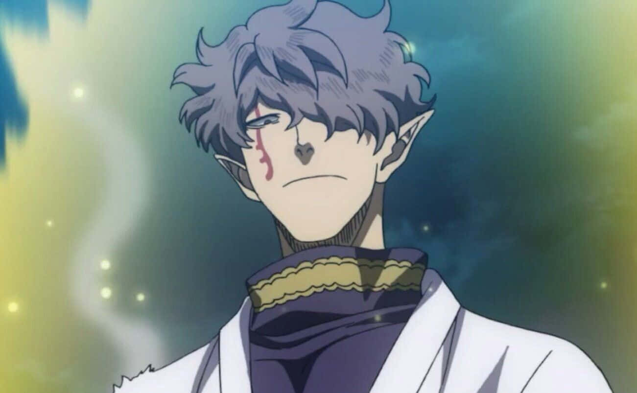Gauche Adlai, anime elf, gray hair, HD Desktop Wallpaper