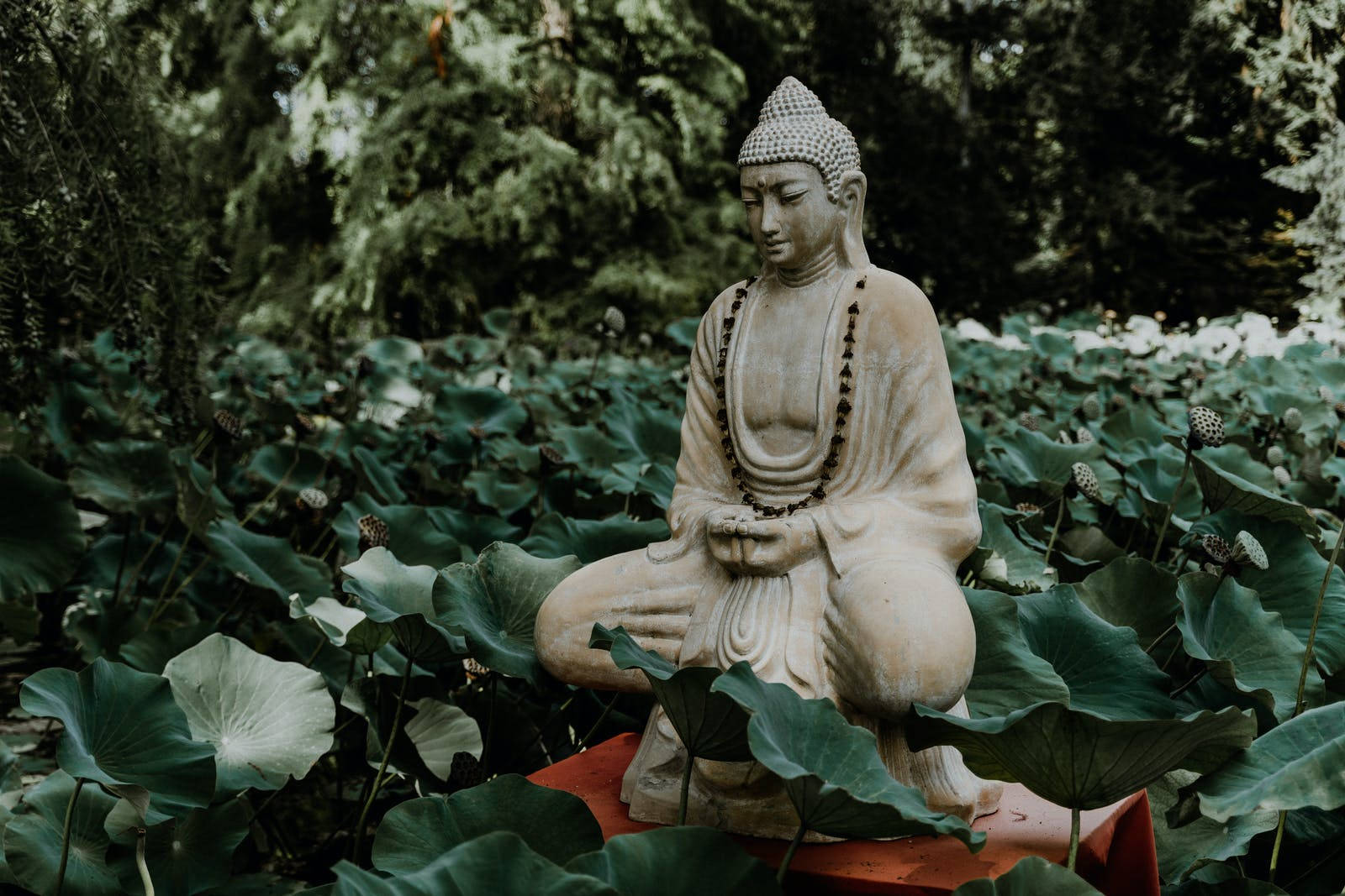 Gautam Buddha, stone Buddha statue, red pedestal, HD Desktop Wallpaper