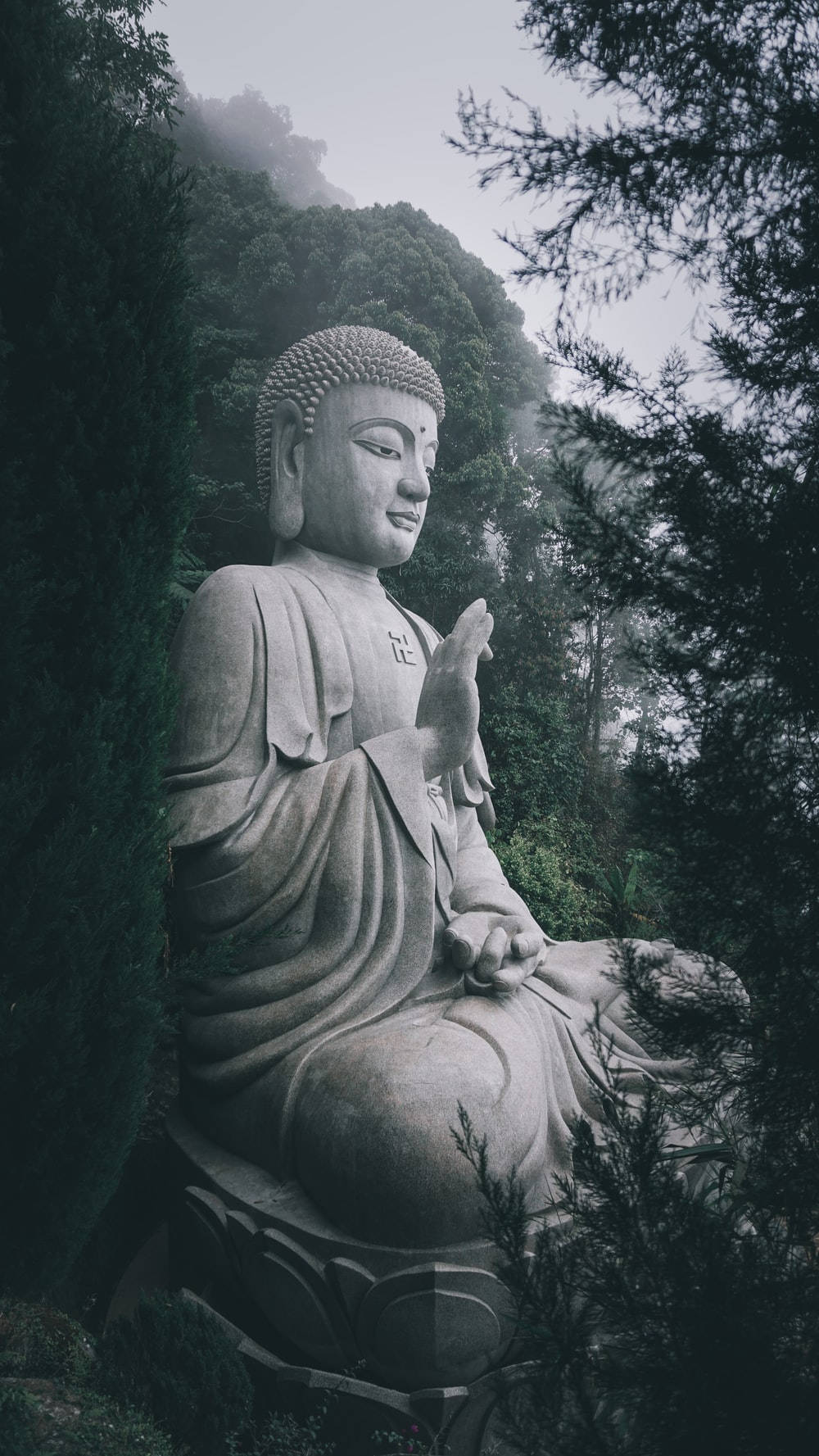Buddha, stone Buddha statue, misty forested mountains, HD Phone Wallpaper