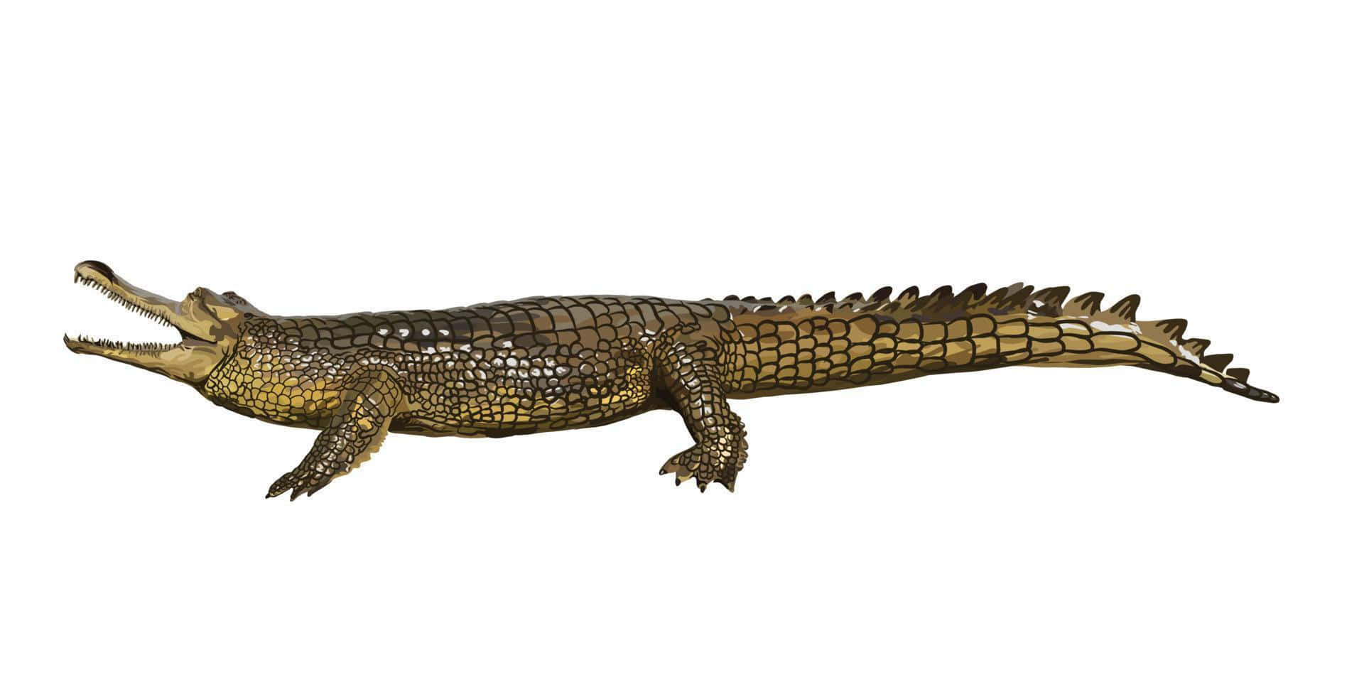 gharial crocodile, bronze statue, mouth open, Full HD Desktop Wallpaper