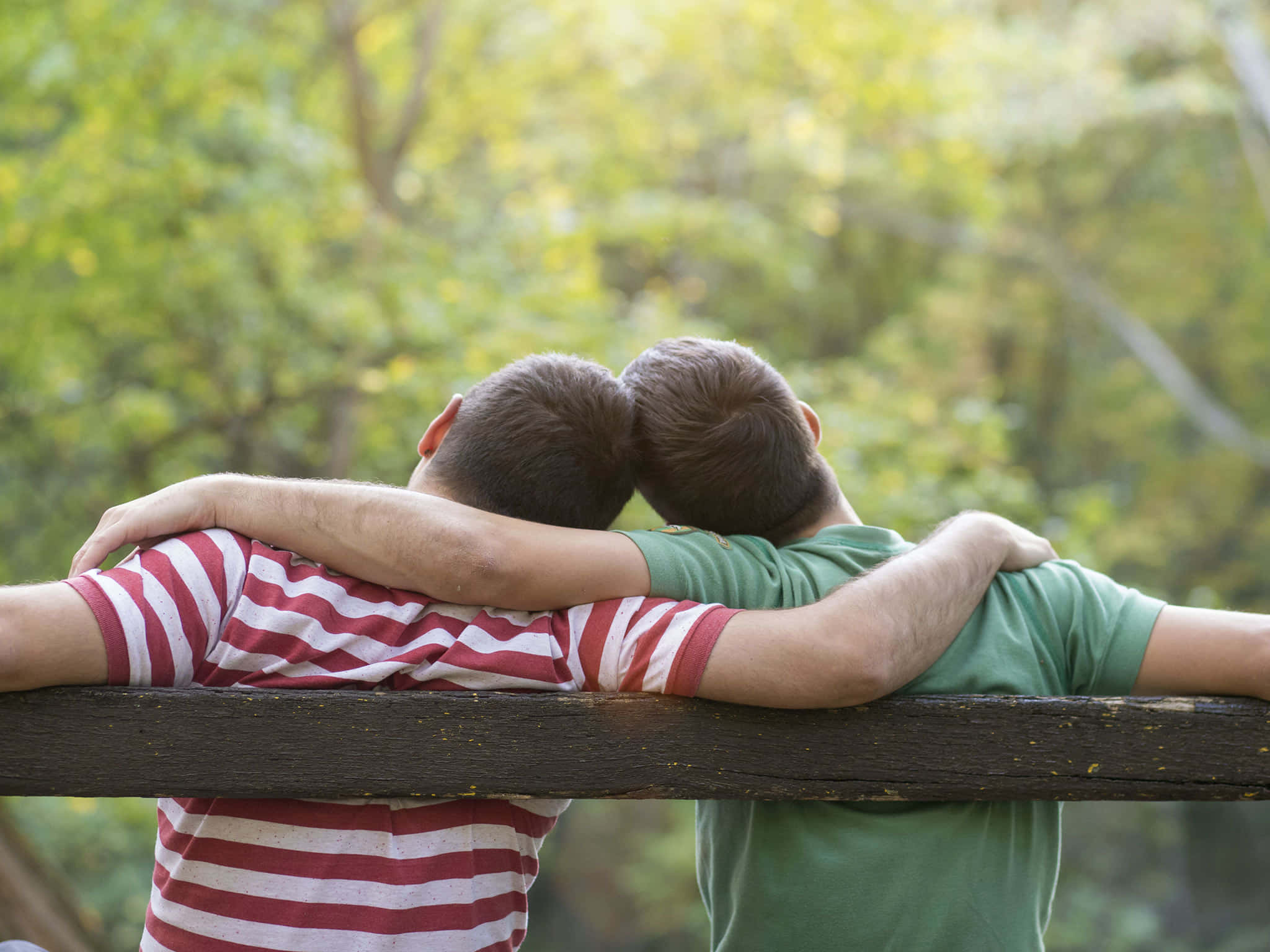 wooden railing, sunlit green forest, two men, Full HD Desktop Wallpaper