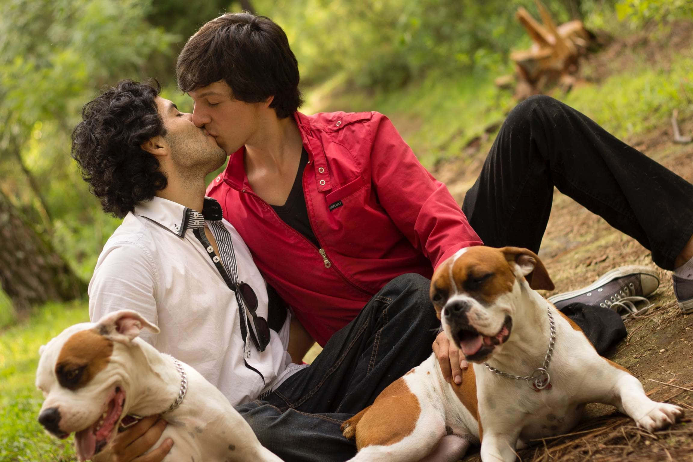 sunlit forest clearing, boxer dogs, two men, Full HD Desktop Wallpaper