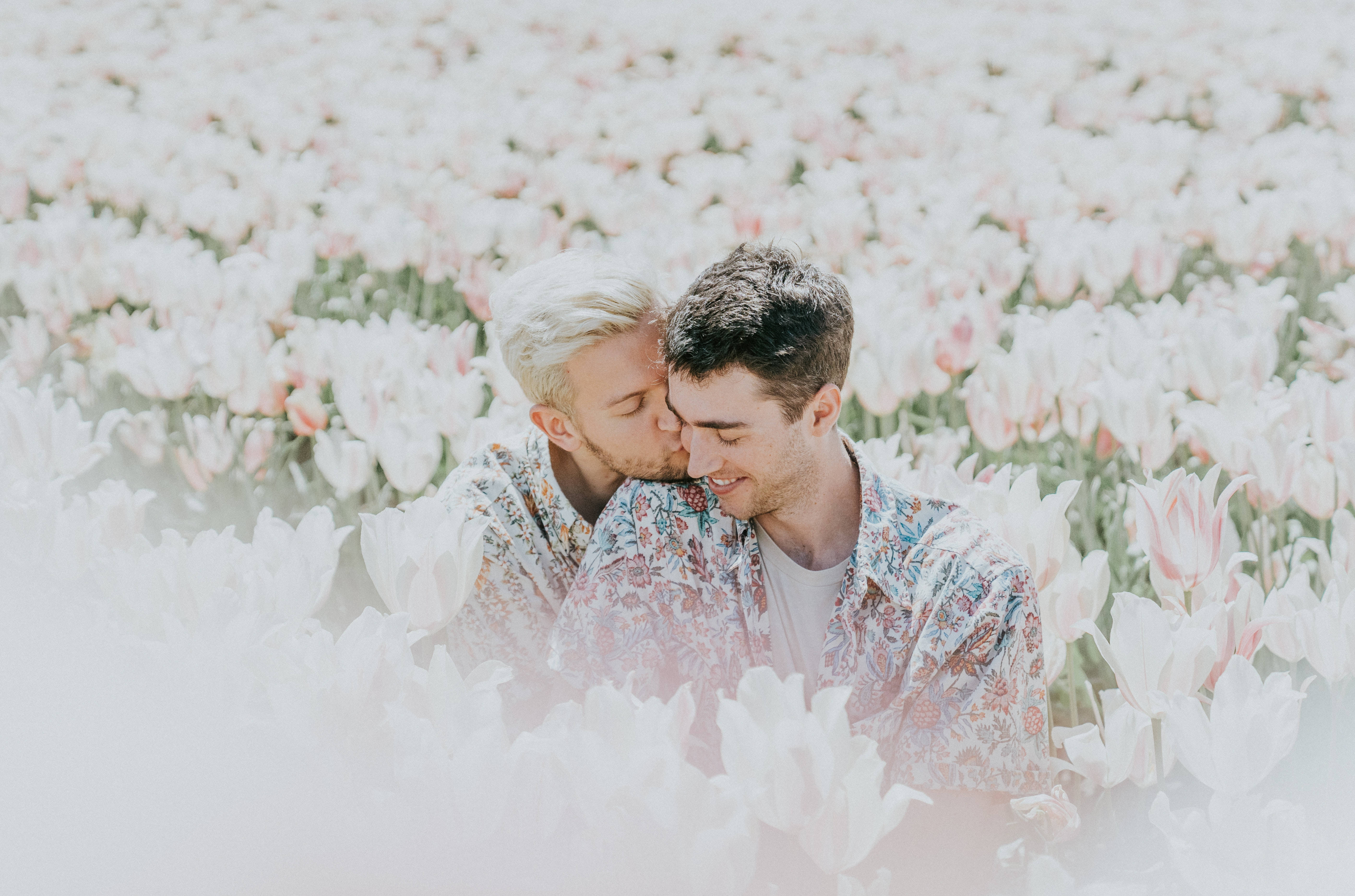Gay Men Among Flowers, white tulips, pink tulips, 5K Desktop Wallpaper