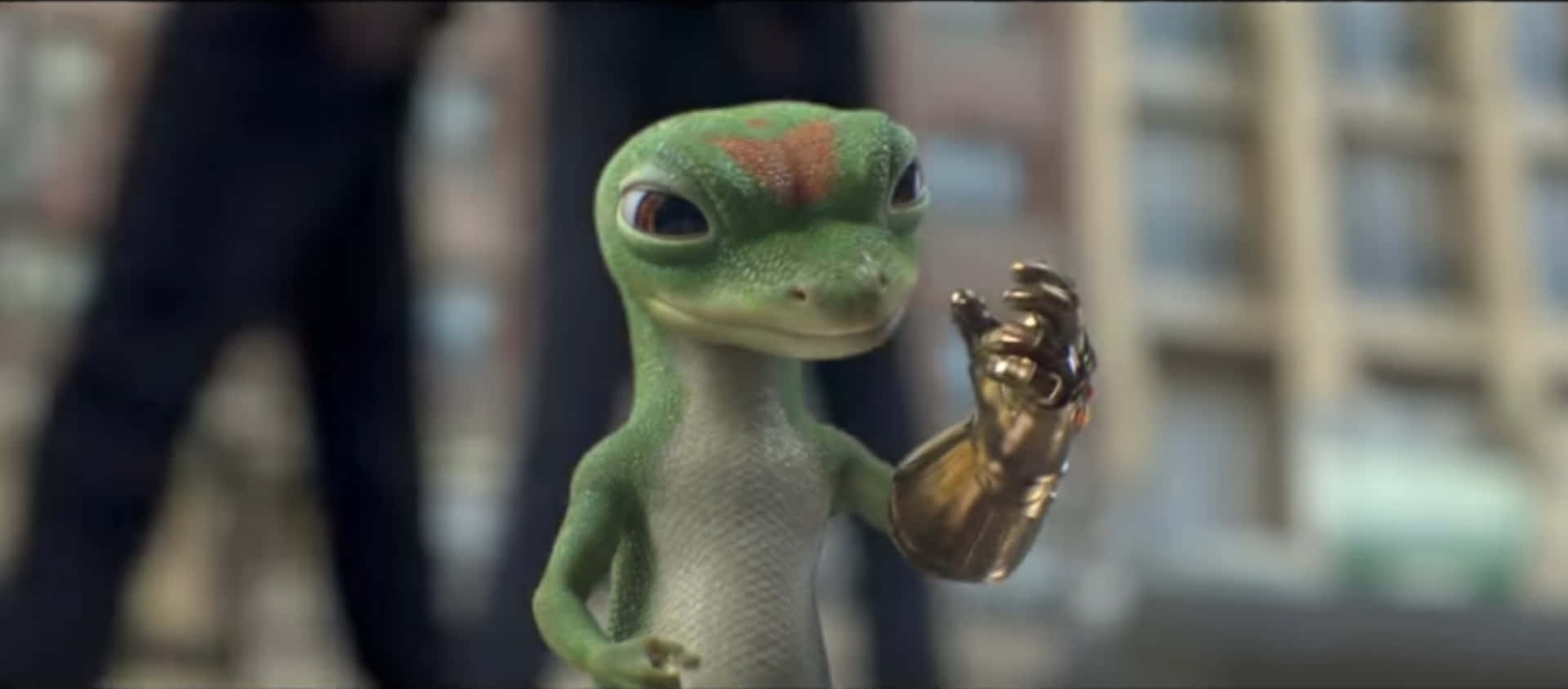 Geico, gecko, red marking on its forehead, Full HD Desktop Wallpaper