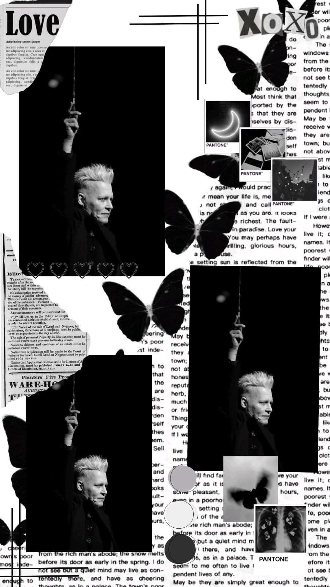 Gellert Grindelwald, black and white photos, butterflies, Full HD Phone Wallpaper