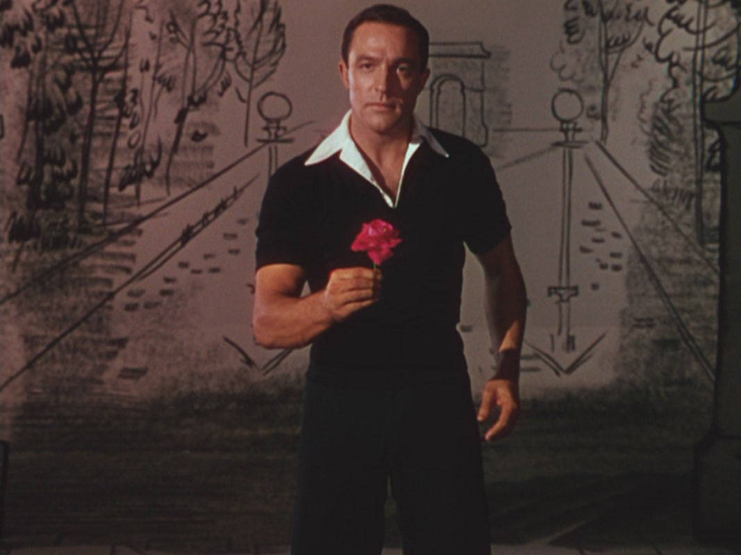 Gene Kelly, pink rose, black shirt, SD Desktop Wallpaper