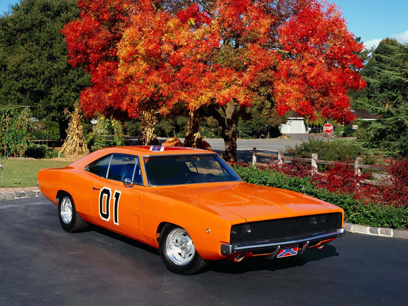 General Lee, 1970 Dodge Challenger, 01, HD Desktop Wallpaper