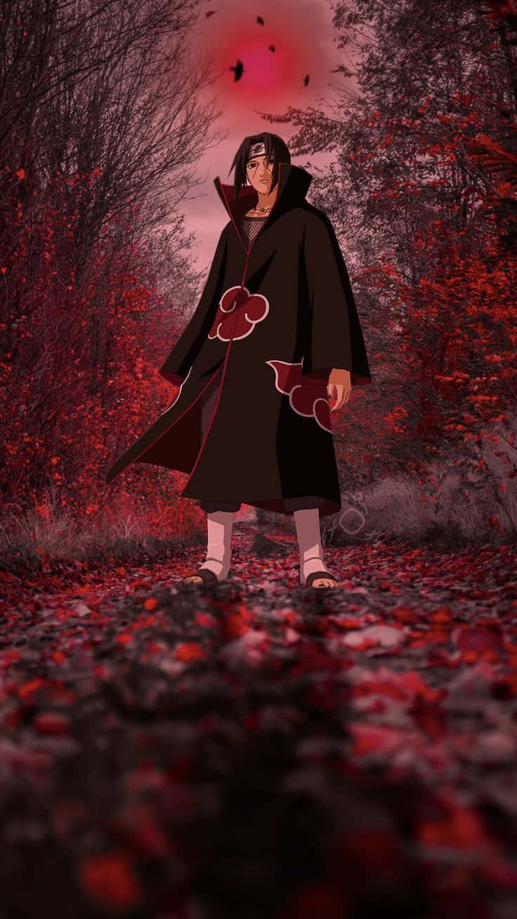 Genjutsu, black cloak with red clouds, path covered in red leaves, HD Phone Wallpaper