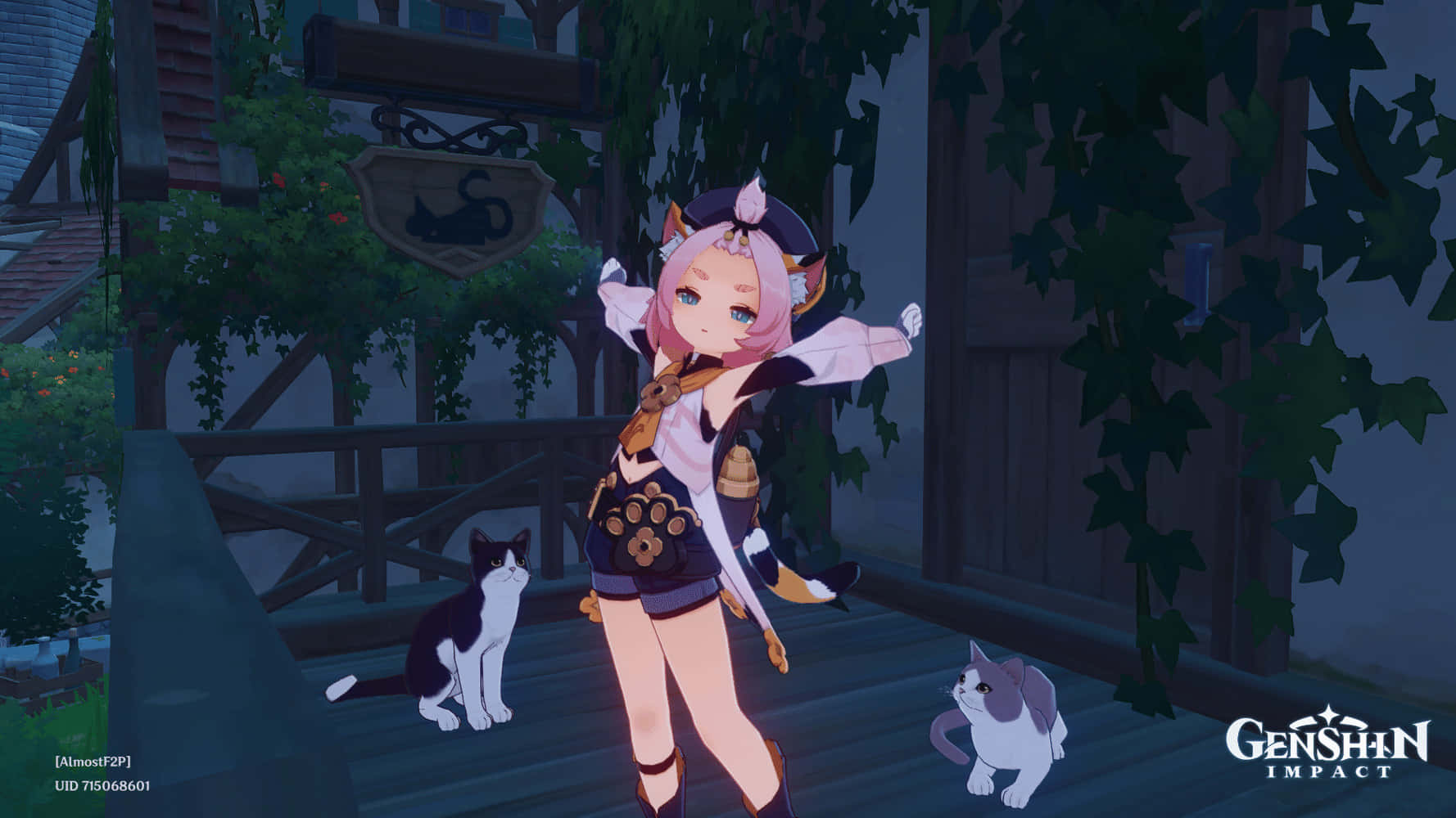 Genshin Impact Diona, pink-haired, cat-eared, HD Desktop Wallpaper