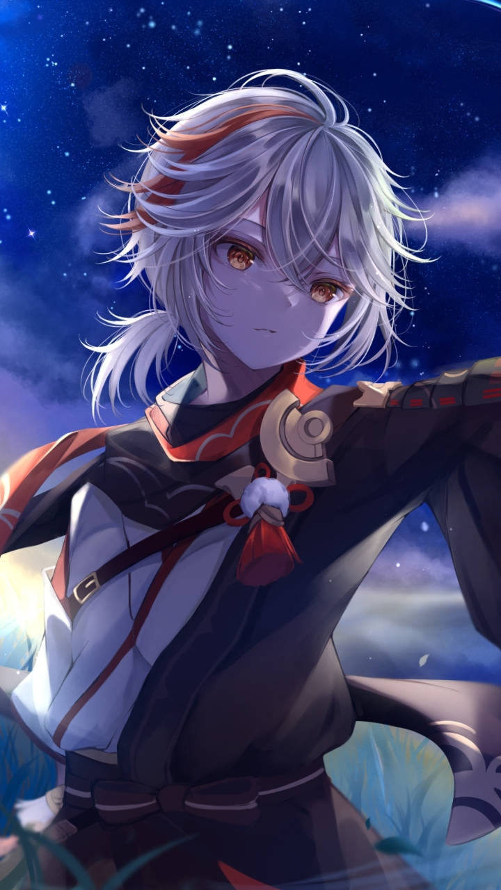 Kazuha, Genshin Impact, silver-haired, HD Phone Wallpaper