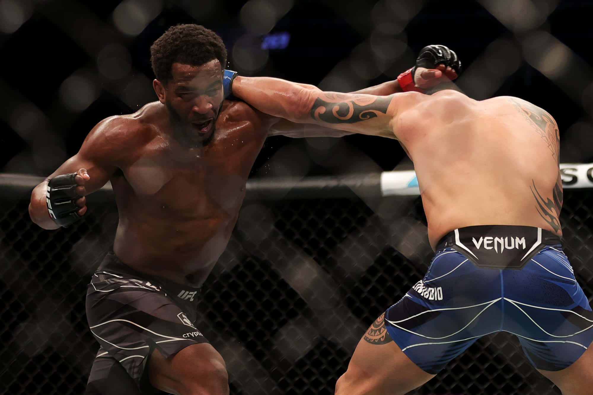 Geoff Neal, MMA Fighter, cage, Full HD Desktop Wallpaper