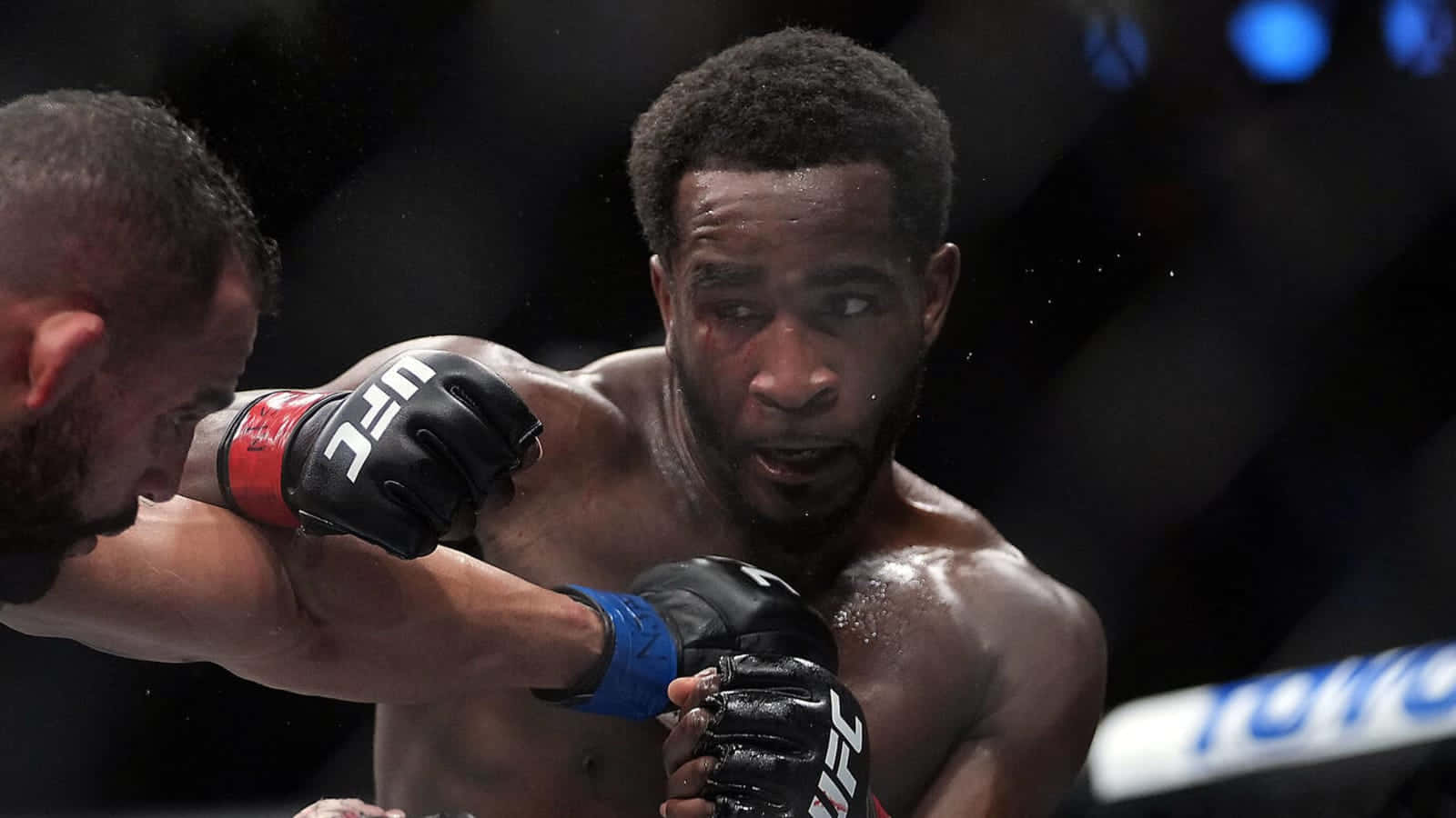 Geoff Neal, UFC fighters, octagon, HD Desktop Wallpaper
