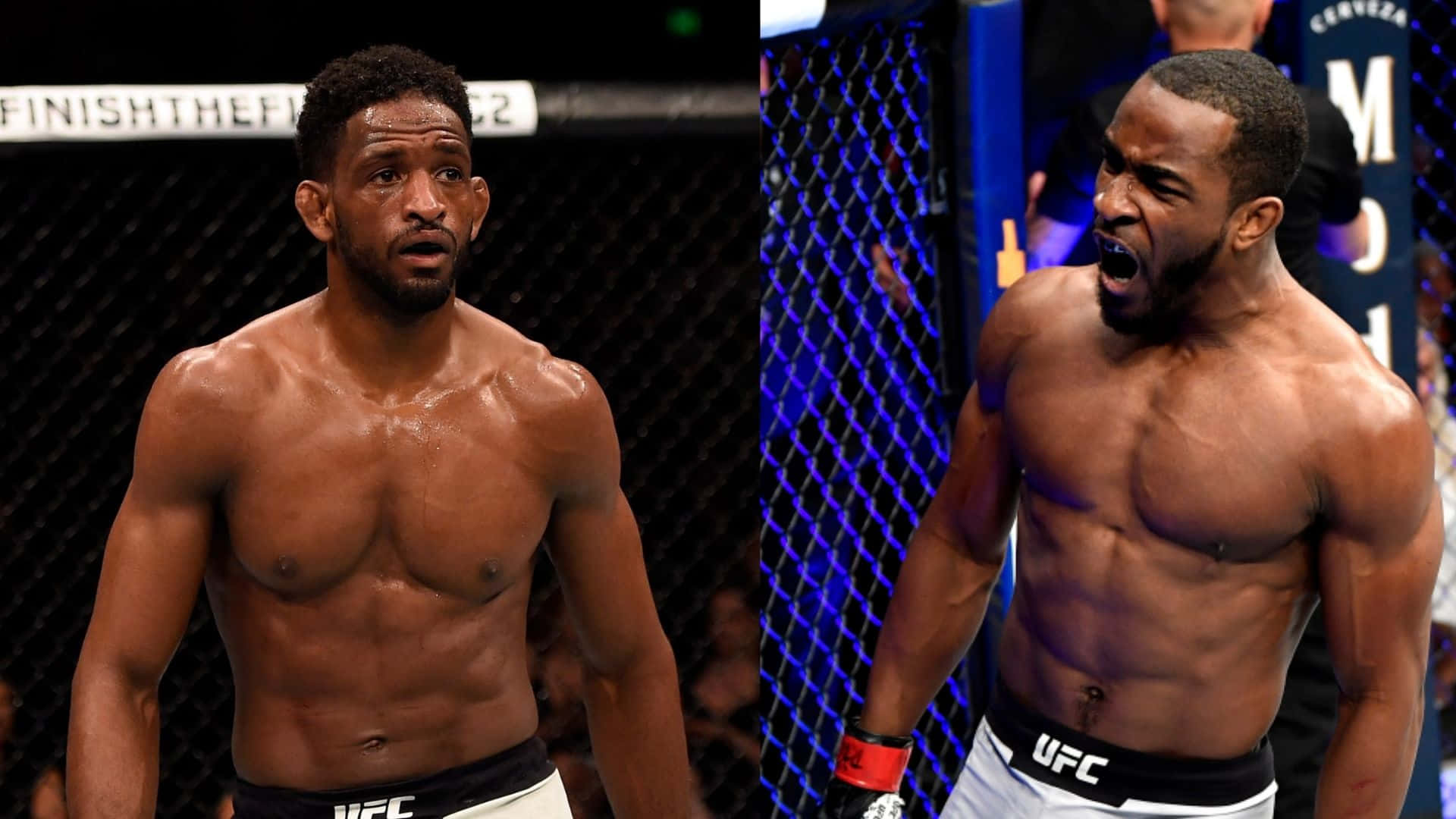 Geoff Neal, UFC fighters, octagon, Full HD Desktop Wallpaper