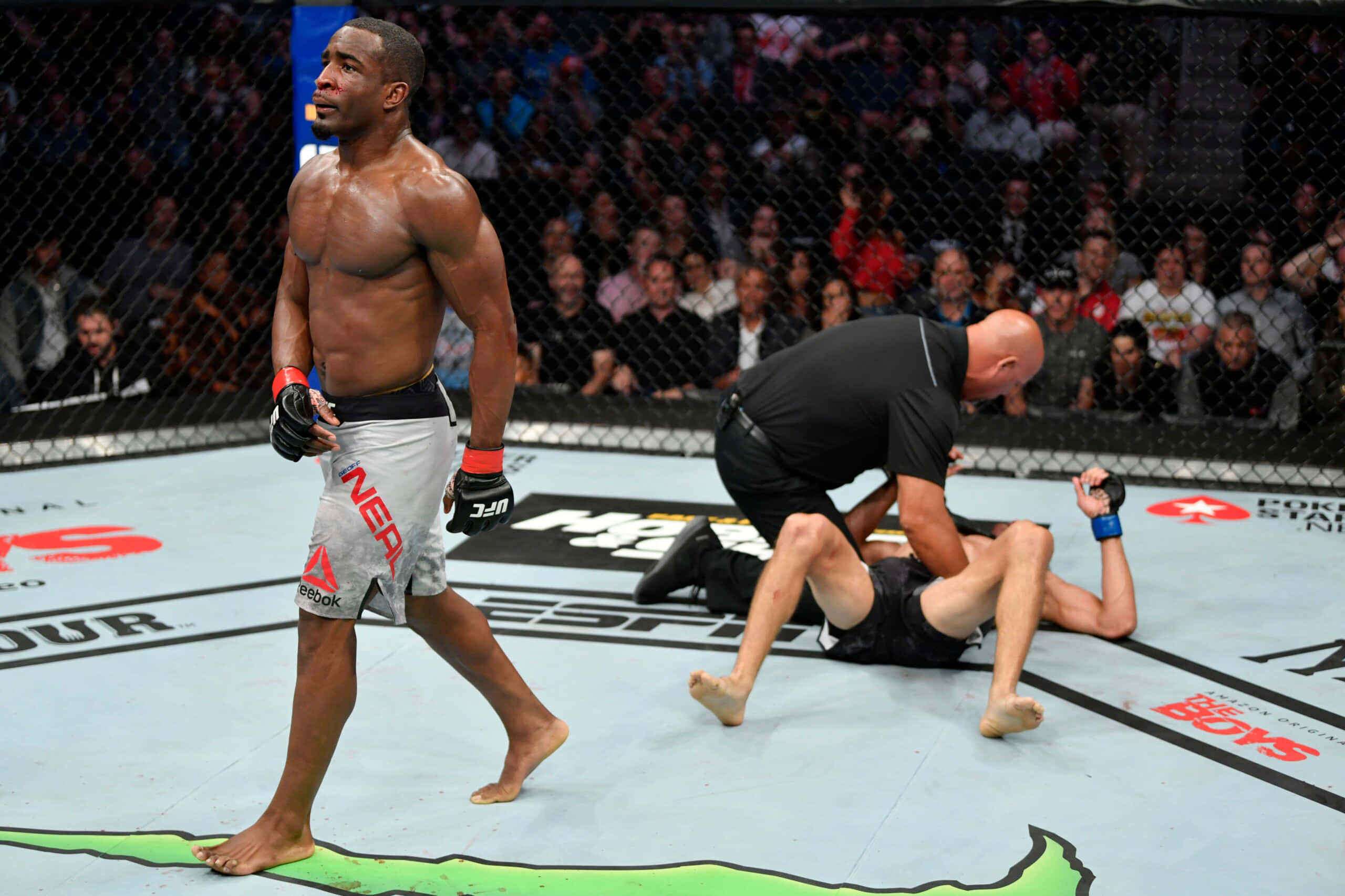 Geoff Neal, UFC match, octagon, 2K Desktop Wallpaper