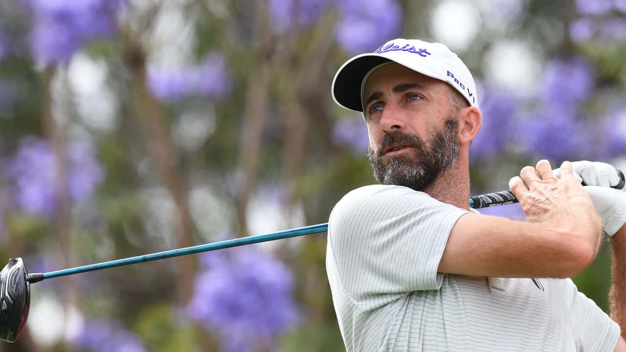 Geoff Ogilvy, purple flowers, golfer, HD Desktop Wallpaper