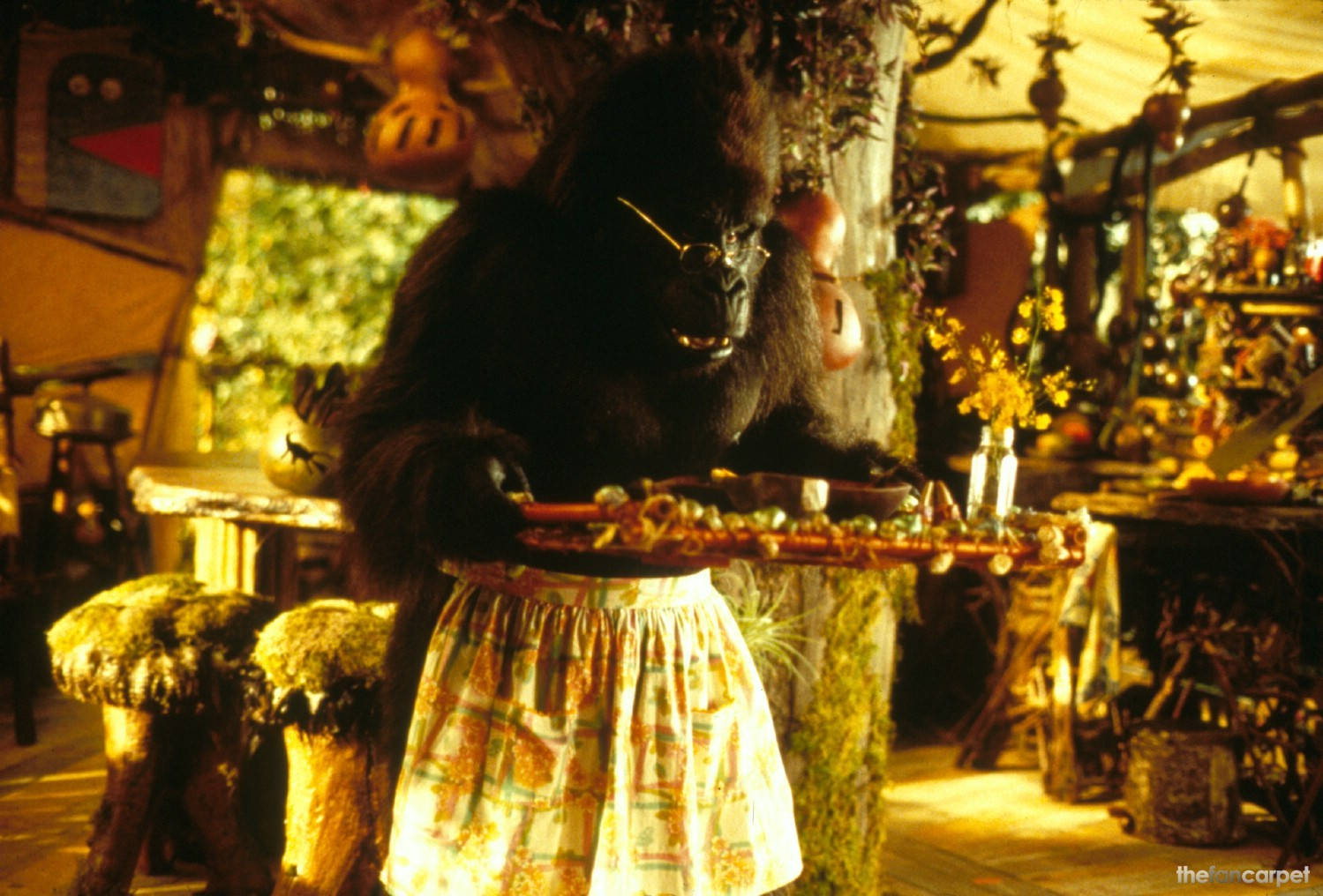 George Of The Jungle, gorilla, glasses, HD Desktop Wallpaper