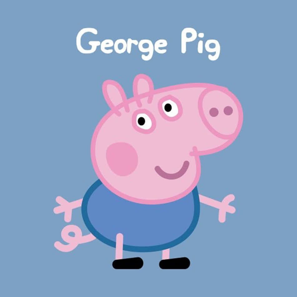George Pig, blue shirt, black shoes, SD Desktop Wallpaper