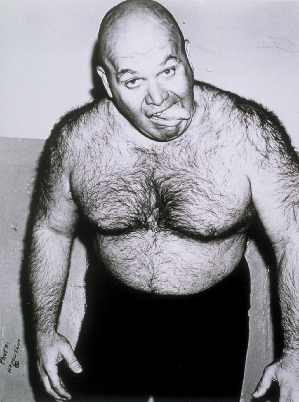 George Steele, bald, hairy man, HD Phone Wallpaper
