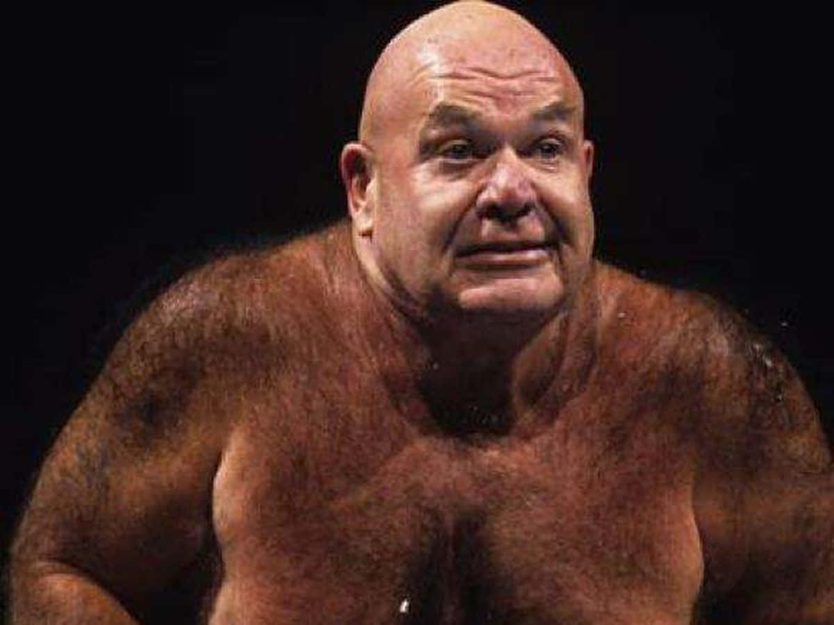 George Steele, bald, muscular, SD Desktop Wallpaper