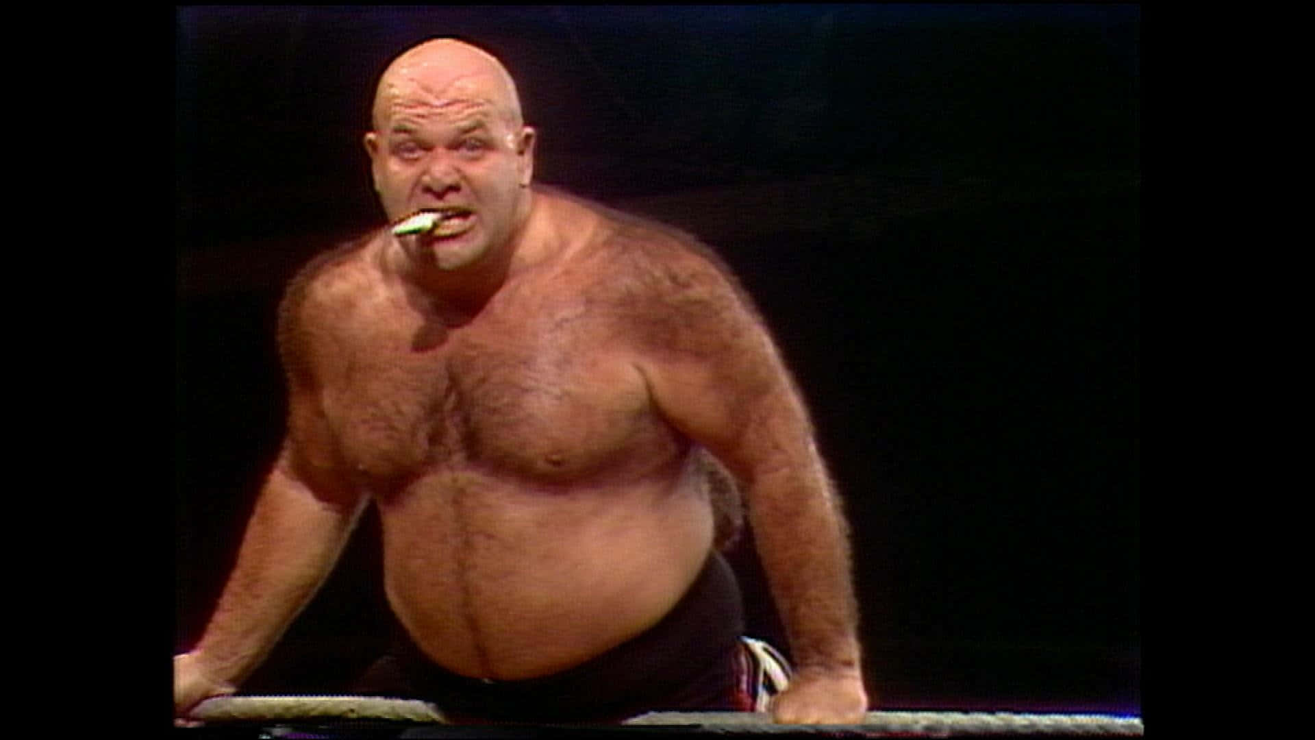 George Steele, chewing turnbuckle pad, bald muscular wrestler, Full HD Desktop Wallpaper