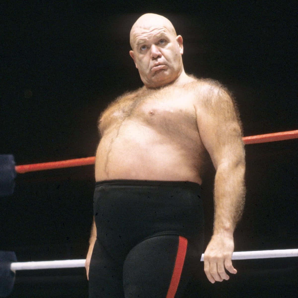 George Steele, black trunks with red stripe, wrestling ring, SD Desktop Wallpaper
