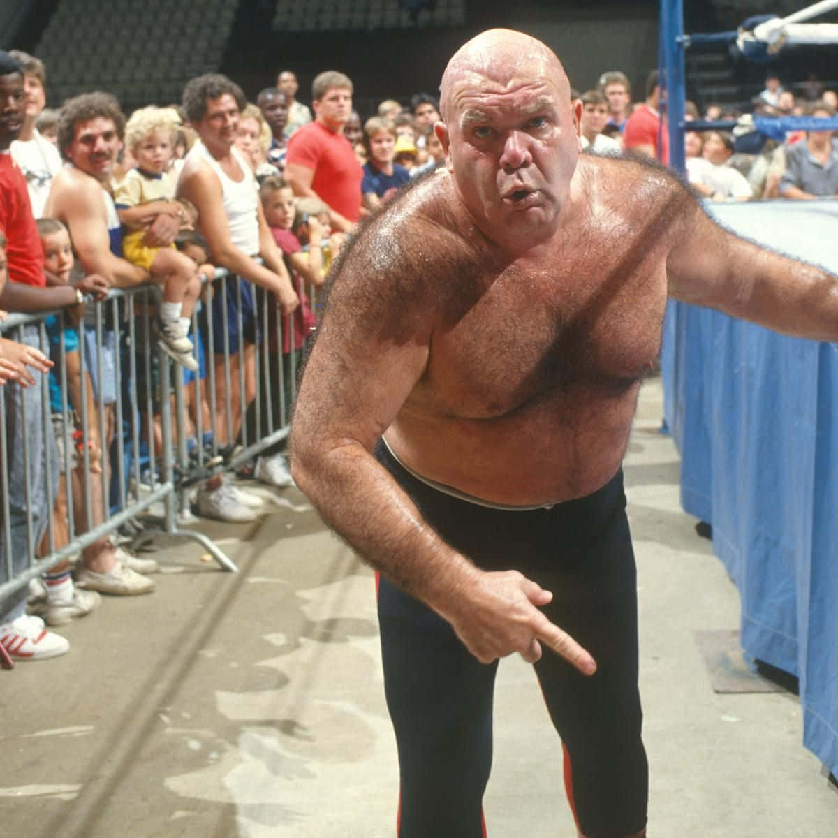 George Steele, black trunks, crowd, SD Desktop Wallpaper